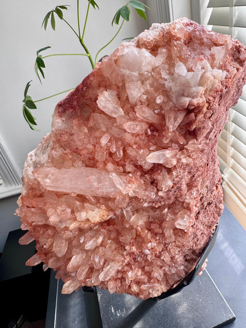 Tangerine Lemurian Laser Quartz Natural Cluster - Vibrant Energy - Crystals & Reiki