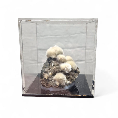 Mesolite on Black Sparkling Chalcedony in Display Cases