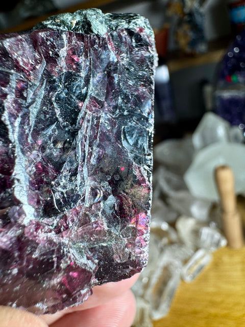 Pyrope Garnet Rough Natural Piece Five - Encourages Commitment and Loyalty - Crystals & Reiki