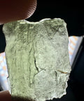 Raw Genuine Moldavite Crystal 7g for Transformation, and Protection - Crystals & Reiki