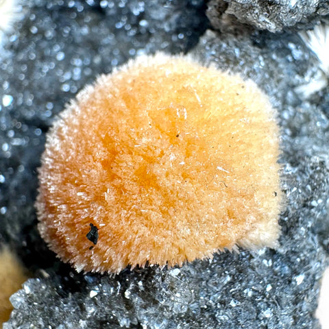 Super Rare Orange Thomsonite Sparkling Black Chalcedony - Piece 1 - Crystals & Reiki