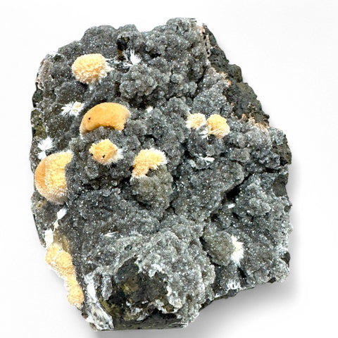 Super Rare Orange Thomsonite Sparkling Black Chalcedony - Piece 1 - Crystals & Reiki