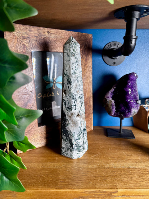 Tree Agate Large Point - Encourages Optimism and Hope - Crystals & Reiki