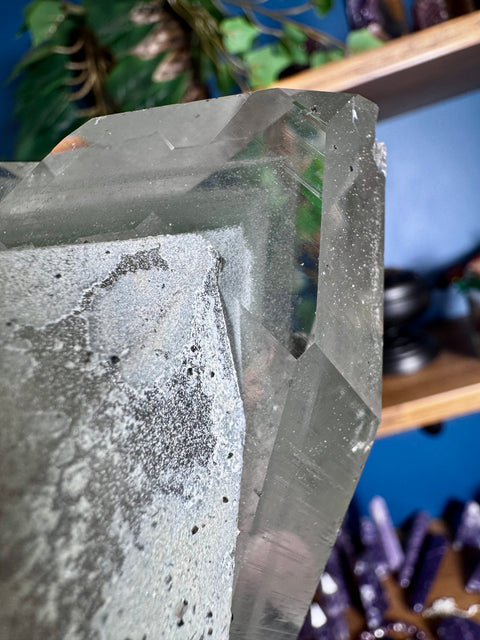 Ultra Rare Himalayan Green Chlorite Phantom Quartz - Collectors Piece Two - Crystals & Reiki
