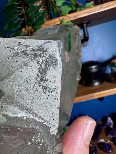 Ultra Rare Himalayan Green Chlorite Phantom Quartz - Collectors Piece Two - Crystals & Reiki