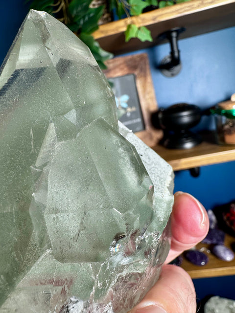 Ultra Rare Himalayan Green Chlorite Phantom Quartz - Collectors Piece Two - Crystals & Reiki