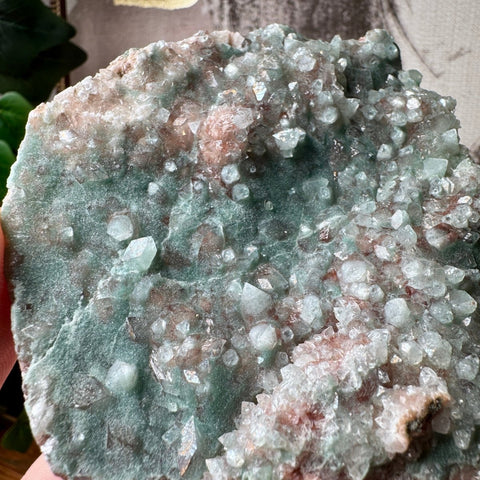 Super Rare Green Druzy Chalcedony with Apophyllite 170g - Crystals & Reiki
