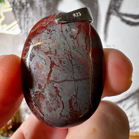 Hematite & Red Jasper (Jaspilite) Pendant One - Crystals & Reiki