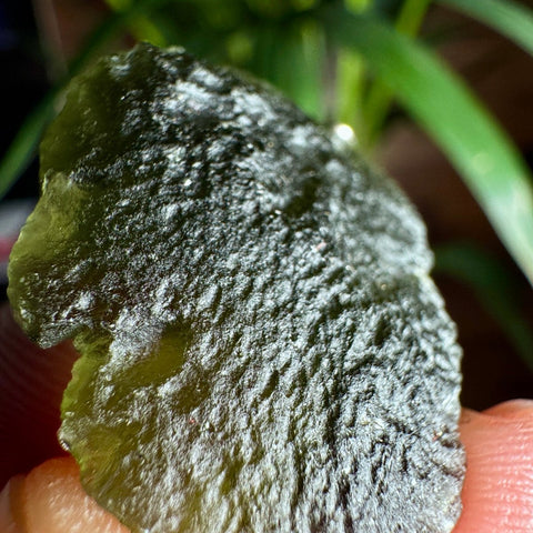 Moldavite Pendant (8.00g) | Sterling Silver Setting | Peak Energetic Shield - Crystals & Reiki