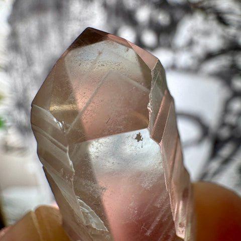 Phantom Lemurian Quartz Point (12.43g) | For Personal Growth - Crystals & Reiki
