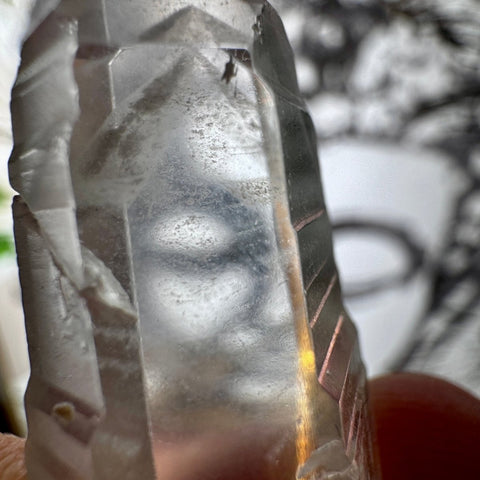 Phantom Lemurian Quartz Point (12.43g) | For Personal Growth - Crystals & Reiki
