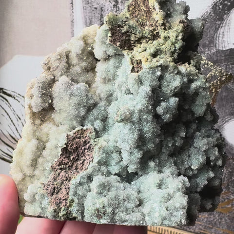 Super Rare Green Druzy Chalcedony Mined by Crystals & Reiki 482g
