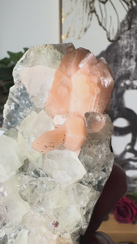Apophyllite on Black Chalcedony with Peach Stilbite – Heart-Centred Divine Light
