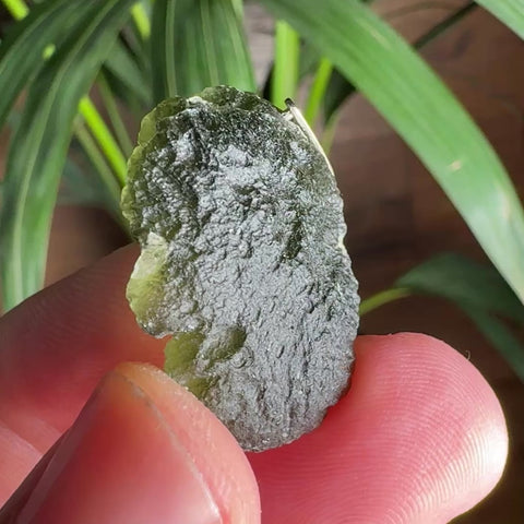 Moldavite Pendant (8.00g) | Sterling Silver Setting | Peak Energetic Shield