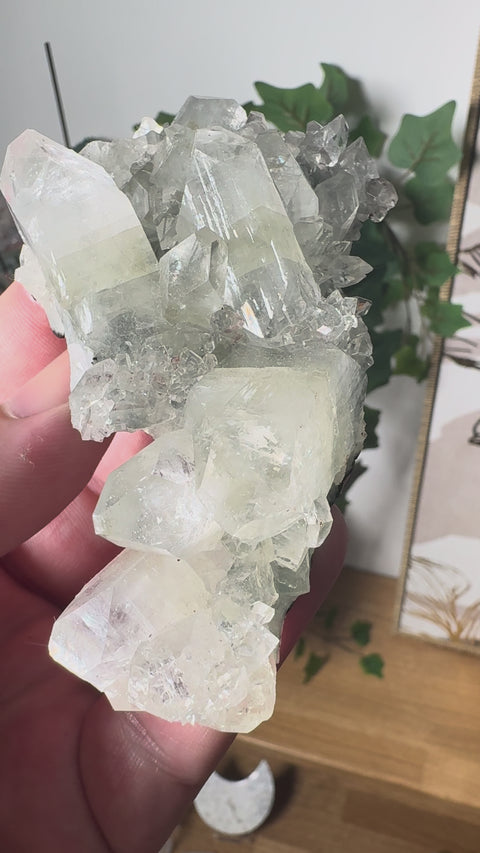 Apophyllite on Black Chalcedony Cluster – Spiritual Light with Grounded Strength