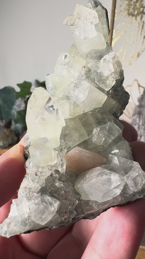 Apophyllite on Black Chalcedony with Peach Stilbite – Clarity & Gentle Love