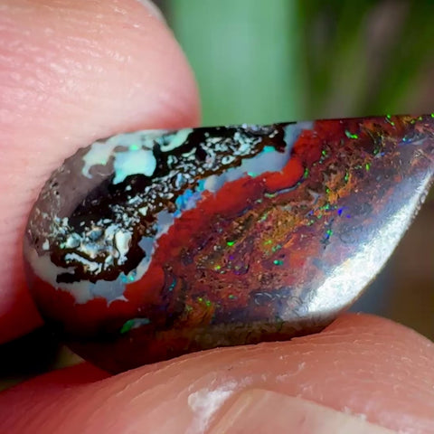 Australian Boulder Opal - Dragon's Tear