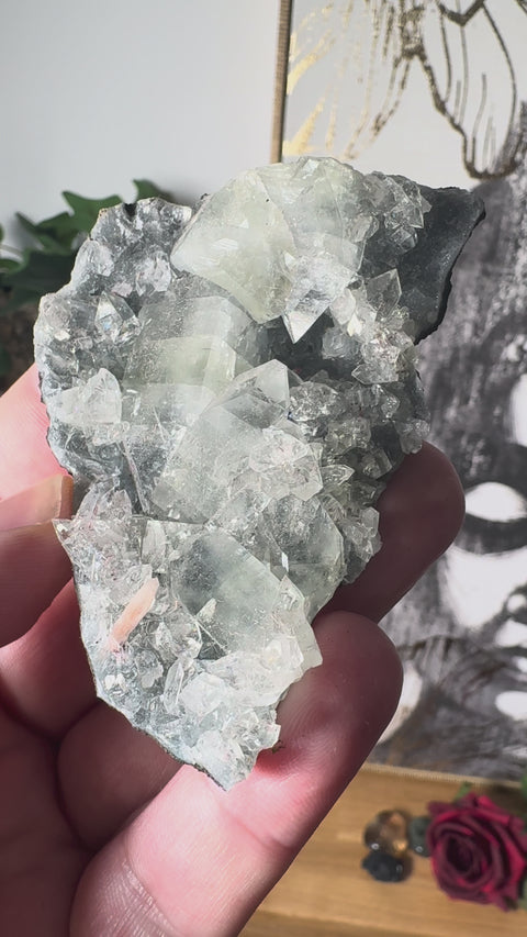 Apophyllite on Black Chalcedony Cluster – Light Anchored in Protection