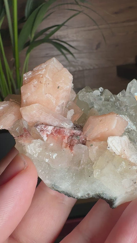 Crystals & Reiki